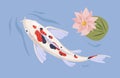 Japanese koi swimming in Asian pond with waterlily. Japan fish in oriental water garden with flower. Top view of Chinese
