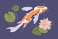 Japanese koi swimming in pond with flower. Japan carp in Asian water garden with waterlily. Top view of Chinese Royalty Free Stock Photo