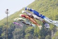 Japanese Koinobori carp kite Royalty Free Stock Photo