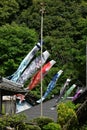 Japanese \'Koinobori\' ( Carp streamer ) . Royalty Free Stock Photo