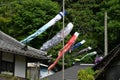 Japanese \'Koinobori\' ( Carp streamer ) . Royalty Free Stock Photo