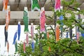 Japanese \'Koinobori\' ( Carp streamer ) . Royalty Free Stock Photo