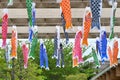 Japanese \'Koinobori\' ( Carp streamer ) . Royalty Free Stock Photo