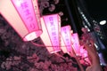 Japanese Lamp in Pink: Cherry Blossoms Festival