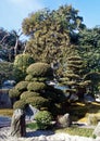 Japanese Landscape Garden