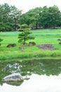 Japanese Landscape garden in Summer Royalty Free Stock Photo