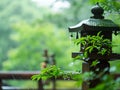 japanese lantern in a garden