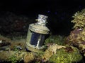 Japanese lantern on an Imperial Japanese Navy cargo ship sunk at Truk Lagoon