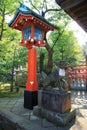 Japanese lanterns