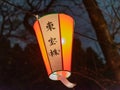 Japanese lanterns Royalty Free Stock Photo