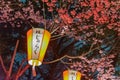 Japanese lanterns Royalty Free Stock Photo