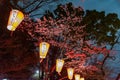 Japanese lanterns Royalty Free Stock Photo