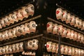 Japanese lanterns