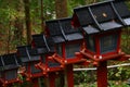 Japanese lanterns