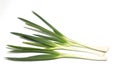 Japanese leek in a white background