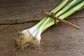 Japanese leek on the wood table.