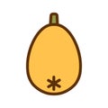 Japanese loquat or medlar. Color flat icon of single sea buckthorn berry isolated on a white background. Vector filled