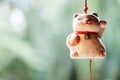 Japanese lucky cat doll is hanging on the window Royalty Free Stock Photo