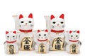 Japanese lucky cat on white background