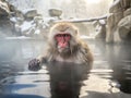 Japanese Macaque in hot spring