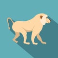 Japanese macaque icon, flat style