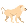 Japanese macaque icon isolated