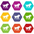 Japanese macaque icon set color hexahedron