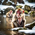 Japanese macaque monkey enjoying the hot spring - ai generated image