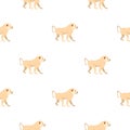 Japanese macaque pattern seamless