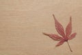 Japanese maple leaf and wood background Royalty Free Stock Photo