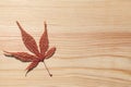 Japanese maple leaf and wood background Royalty Free Stock Photo