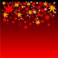 Japanese Maple Leaves Autumn Background Royalty Free Stock Photo