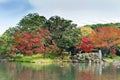 Japanese maple leaves autumn color of Japan, maple leaves tree is green, yellow, orange and red discoloration and refletion on Royalty Free Stock Photo