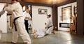 Japanese master, student or training in martial arts in dojo place, block or fighting in aikido in self defence. Sensei Royalty Free Stock Photo