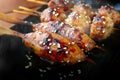 Japanese meatball grill or tsukune
