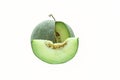 Japanese melon green isolated