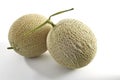 Cantaloupe melon isolated on white background Royalty Free Stock Photo