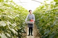 Japanese middle aged woman, image of agriculture