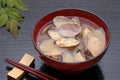 Japanese miso soup with asari clams