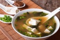 Japanese miso soup in bowl with a spoon vertical Royalty Free Stock Photo