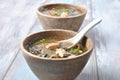 Japanese miso soup with fresh tuna, dried seaweed, tofu, shiitake dried mushrooms Royalty Free Stock Photo