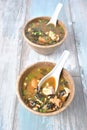 Japanese miso soup with fresh tuna, dried seaweed, tofu, shiitake dried mushrooms Royalty Free Stock Photo