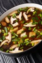 Japanese miso soup with shiitake mushrooms, tofu and green onions close-up in a bowl. vertical Royalty Free Stock Photo