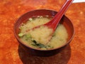 Japanese miso soup tofu seaweed Royalty Free Stock Photo