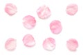 Japanese natural pink cherry blossom petals isolated on white background, spring photography Royalty Free Stock Photo