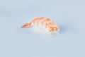 Japanese Nigiri Ebi sushi with black tiger shrimp isolated on gray background Royalty Free Stock Photo
