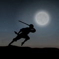 A Japanese Ninja Under The Moonlight