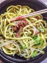 Japanese noodle dish Royalty Free Stock Photo