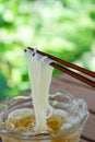 Japanese noodle somen Royalty Free Stock Photo