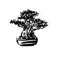 Japanese old bonsai tree in pot hand drawn logo Royalty Free Stock Photo